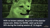 An Unpopular Opinion About Shiba inu #shibainu #crypto #cryptocurrency