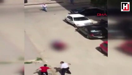 Köpeklerimi telef etti diyerek sokak ortasında öldürdü