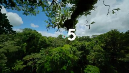 [BA] Les superpouvoirs des plantes - 24/10/2022
