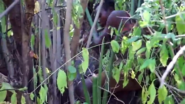 I Spent 50 Hours with Hunter-Gatherers