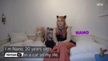 Norveç'te yaşayan Nano 'Bir kedi olarak doğdum'