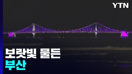BTS 공연 앞두고 전 세계 팬 집결...보랏빛으로 물든 부산 / YTN