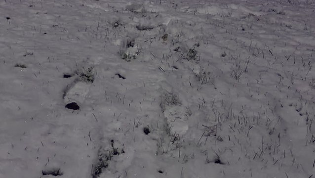 North-central US receives early-morning snowfall