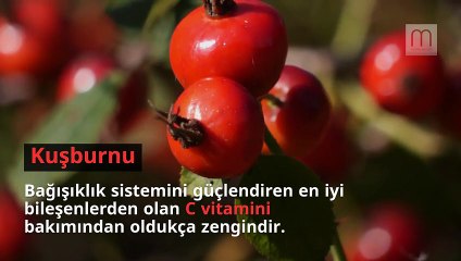 Kış hastalıklarına kalkan olan 8 bitki çayı