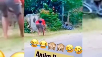 LUCU ABIS __ Video Lucu Bikin Ngakak __ Kelakuan Warga Bumi Bikin Sakit Perut__funny Comedy Videos