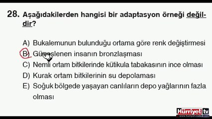 BİYOLOJİ SORULARININ ÇÖZÜMLERİ