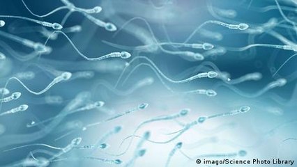 Boost Your Fertility: Top Foods to Improve Sperm Health 🍎