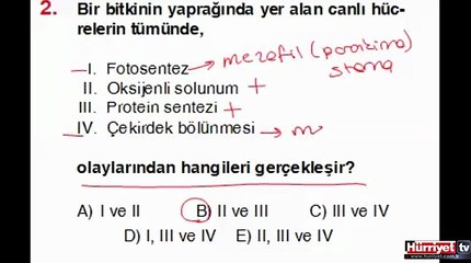 BİYOLOJİ SORULARININ ÇÖZÜMLERİ