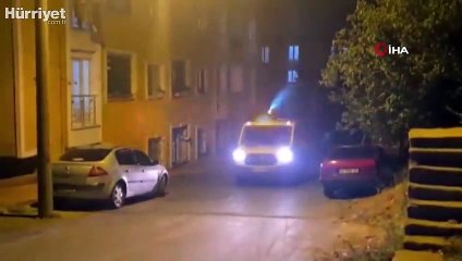 Kocaeli'de 3 ilçeyi böcekler istila etti