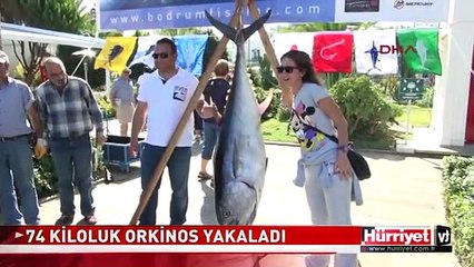 BODRUM'DA 74 KİLOLUK ORKİNOS YAKALADI