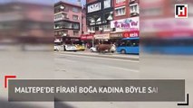 Maltepe’de firari boğa kadına böyle saldırdı