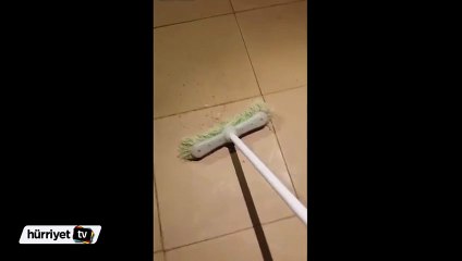 Böceği vurduğuna pişman oldu