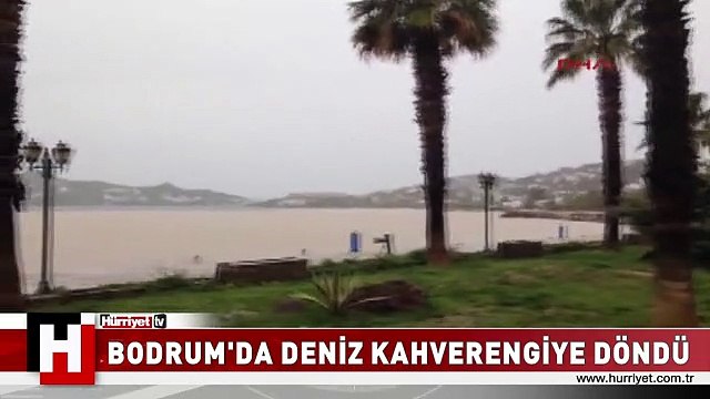 BODRUM'DA DENİZ KAHVERENGİYE DÖNDÜ