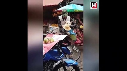 Köpeğini yağmurdan korumaya çalışan yaşlı adam
