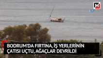 Bodrum'da fırtına, iş yerlerinin çatısı uçtu, ağaçlar devrildi