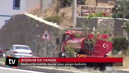 Bodrum'da makilik alanda yangın