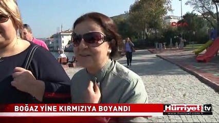 BOĞAZ YİNE KAN GÖLÜNE DÖNDÜ