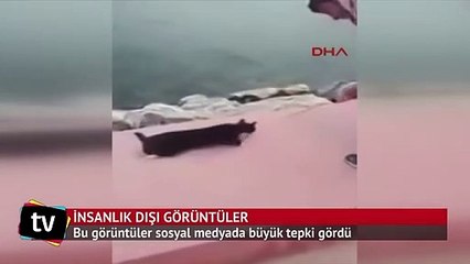 İnsanlık dışı görüntülere sosyal medyadan büyük tepki