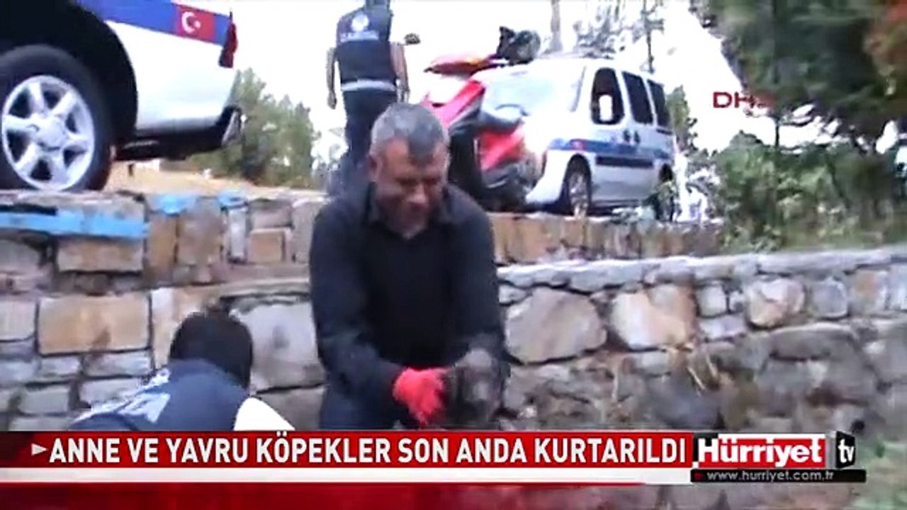 BODRUM'DA SON ANDA KURTARILDILAR