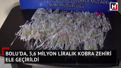 5 milyon 600 bin TL değerinde kobra zehri ele geçirildi