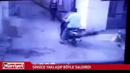 Boğa yaşlı adama saldırdı