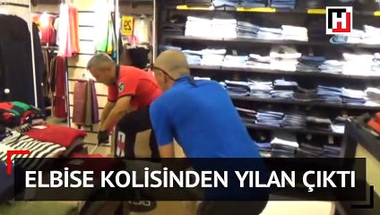 Mağazaya gelen elbise kolisinden yılan çıktı