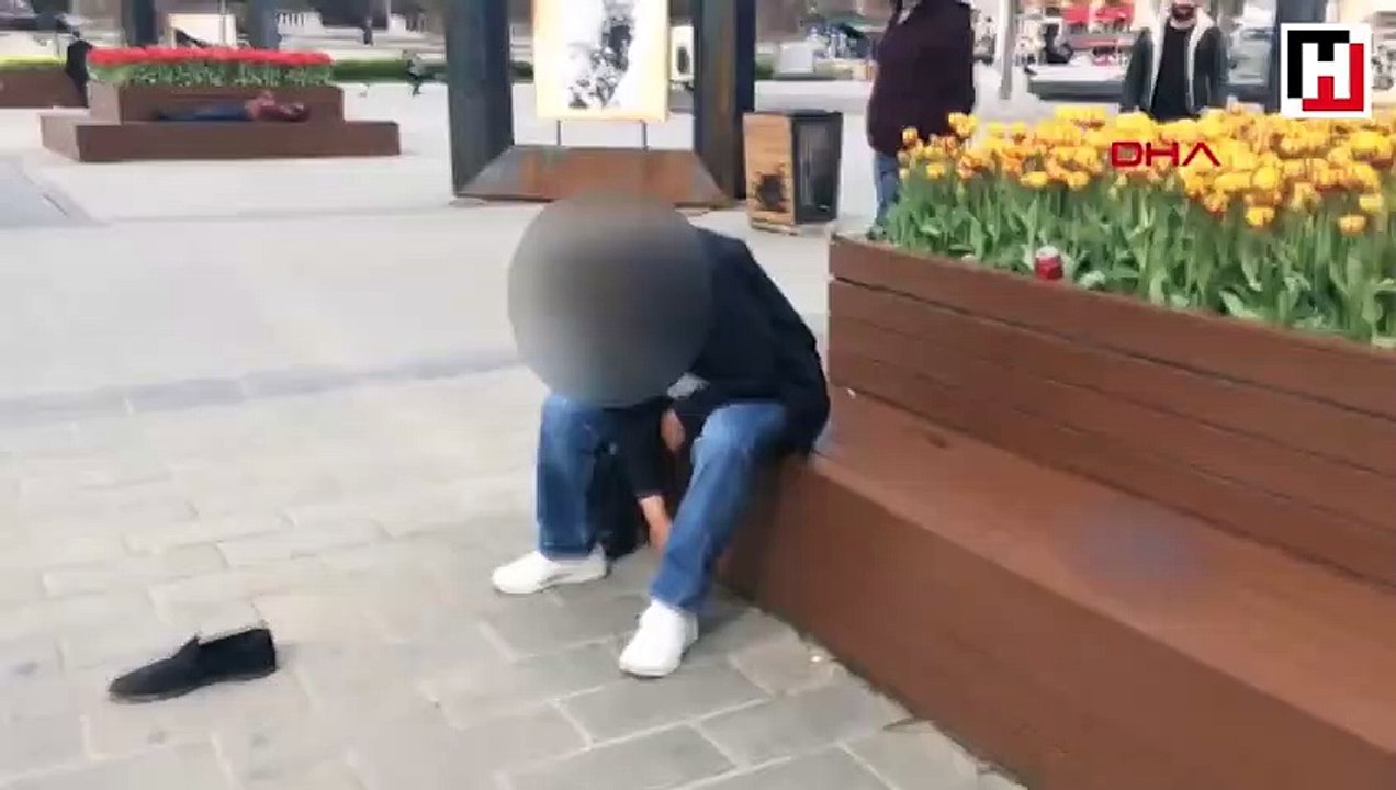 Taksim'de bonzai kabusu