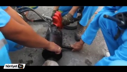 Tayland'da boruya sıkışan köpek böyle kurtarıldı