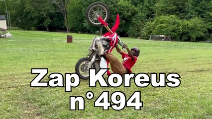 Zap Koreus n°494