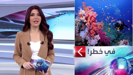 الساعة 60 | مفاجأة عن الشعاب المرجانية في مصر.. تأقلمت مع المياه الدافئة