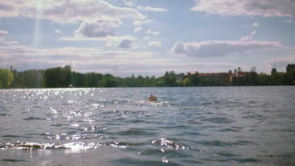 Betterov - Böller aus Polen