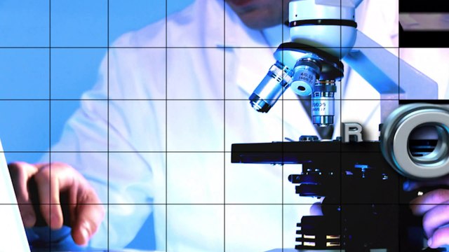 A2A inaugurato l’impianto di trattamento organico a Giussago