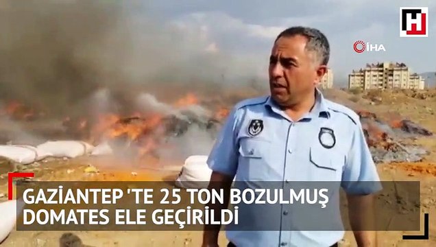 Gaziantep'te 25 ton bozulmuş domates ele geçirildi
