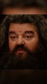 Robbie Coltrane, l’interprète d’Hagrid dans la saga Harry Potter, est mort