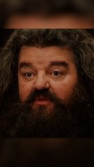 Robbie Coltrane, l’interprète d’Hagrid dans la saga Harry Potter, est mort