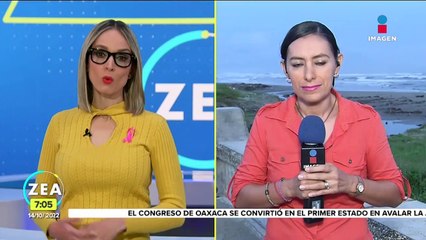 Veracruz se mantiene en alerta por la tormenta tropical "Karl"