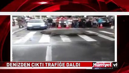 BÖYLESİ İLK DEFA GÖRÜLDÜ