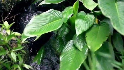 Dünyanın 8. harikasında su kayağı yapmak