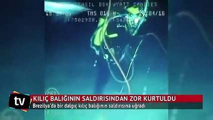 Dalgıç kılıç balığının saldırısına uğradı