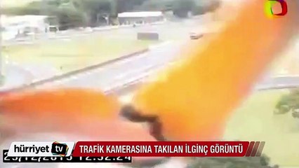 Tukan kuşu trafik kamerasına poz verdi