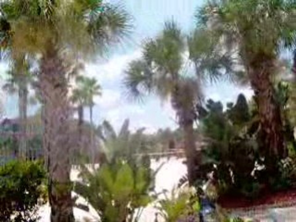 SWAN DISNEY hotel orlando