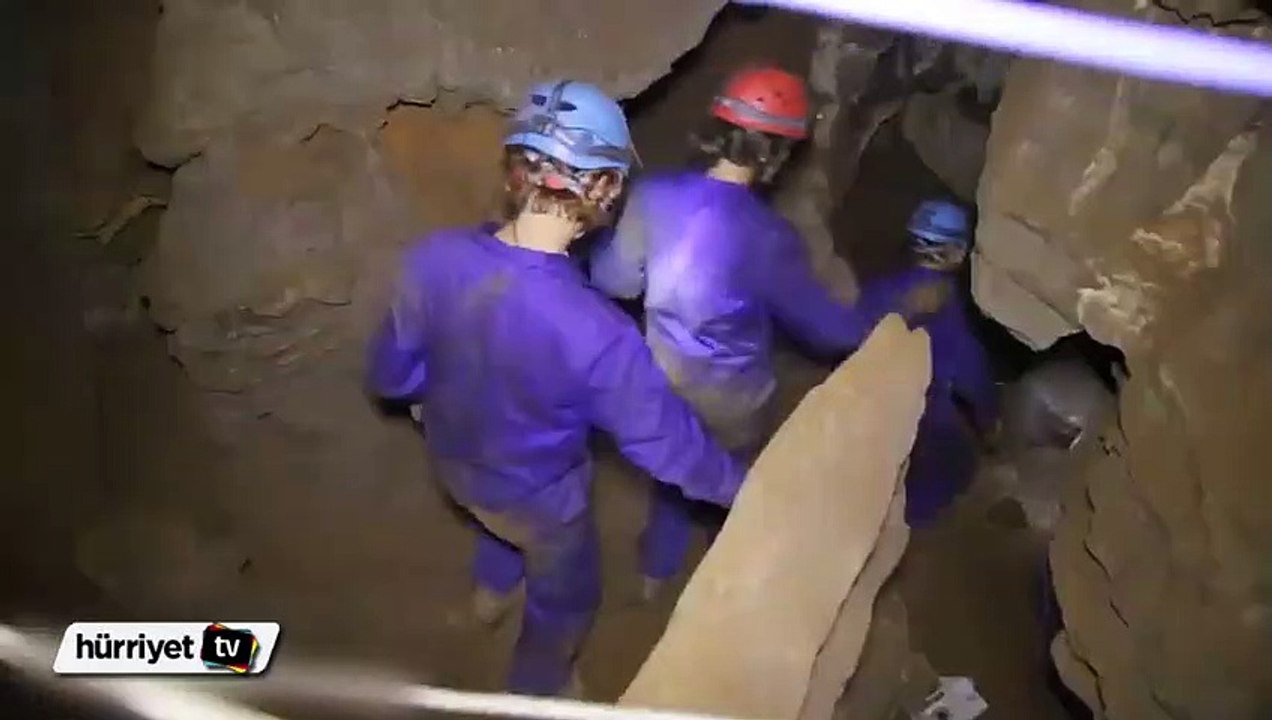 Yeni bir tür bulundu