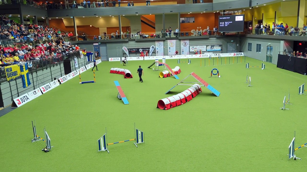 Milly lors des Championnats du monde d’agilité en Autriche