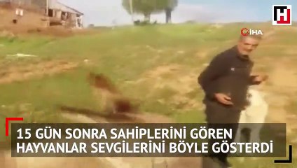 Sosyal medyada izlenme rekorları kıran buluşma