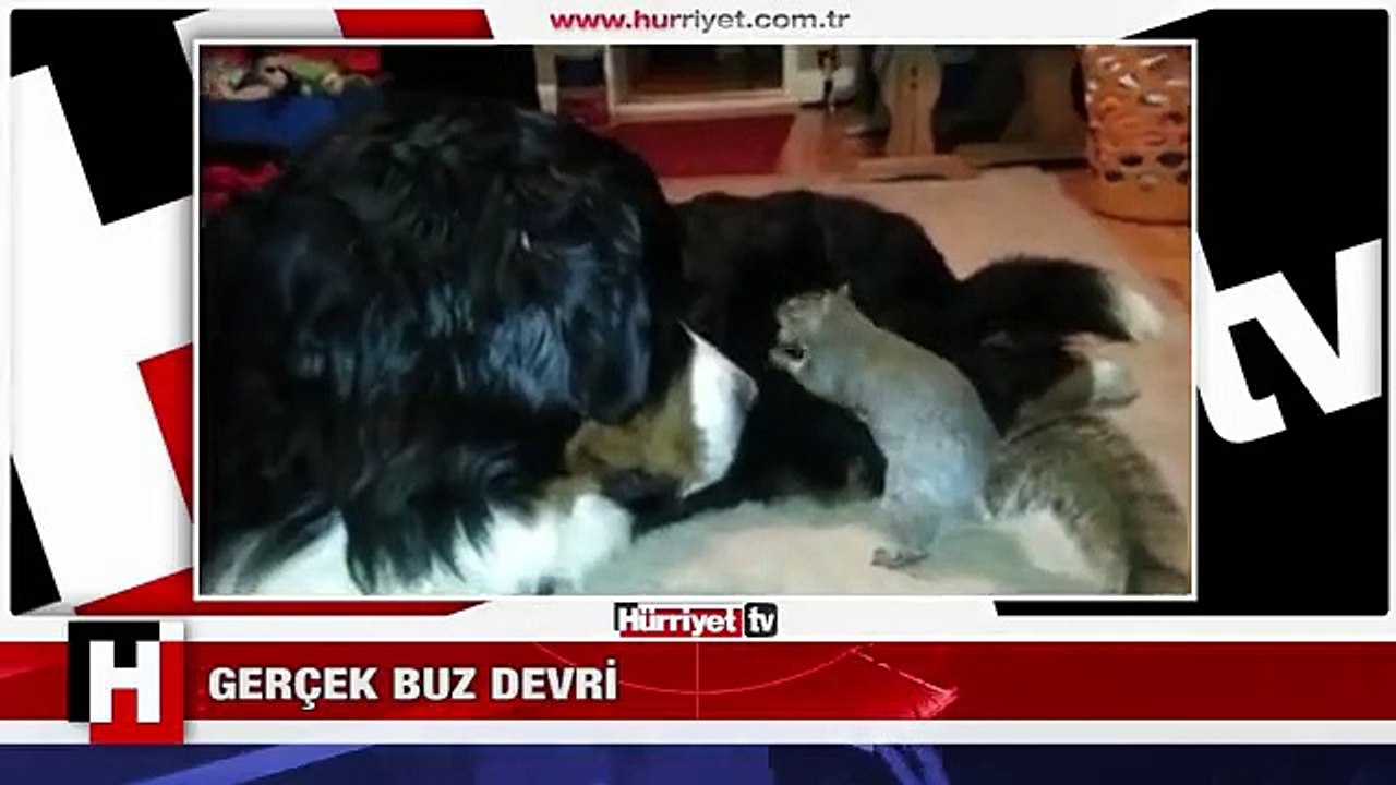 GERÇEK BUZ DEVRİ