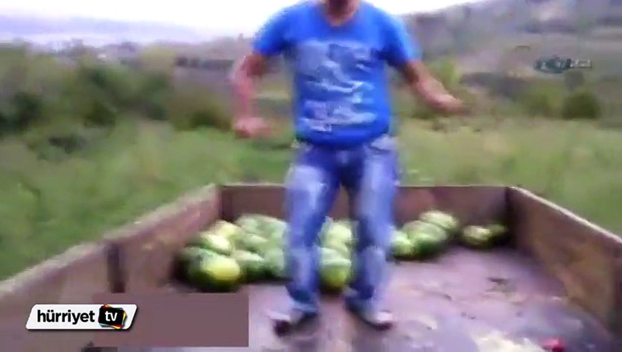 Yok böyle karpuz hasadı