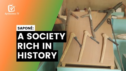 Discovering Saponé: A society rich in history