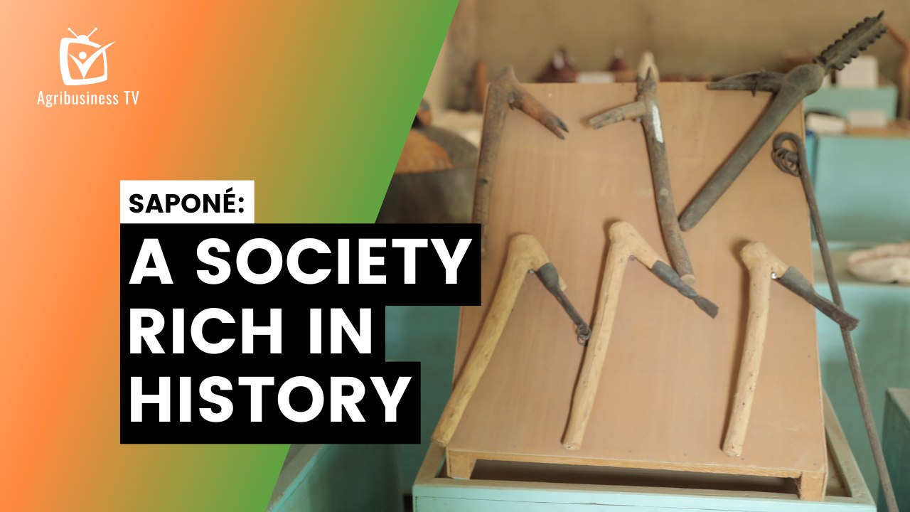 Discovering Saponé: A society rich in history