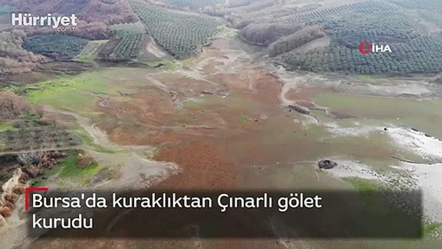 Bursa'da kuraklıktan Çınarlı gölet kurudu