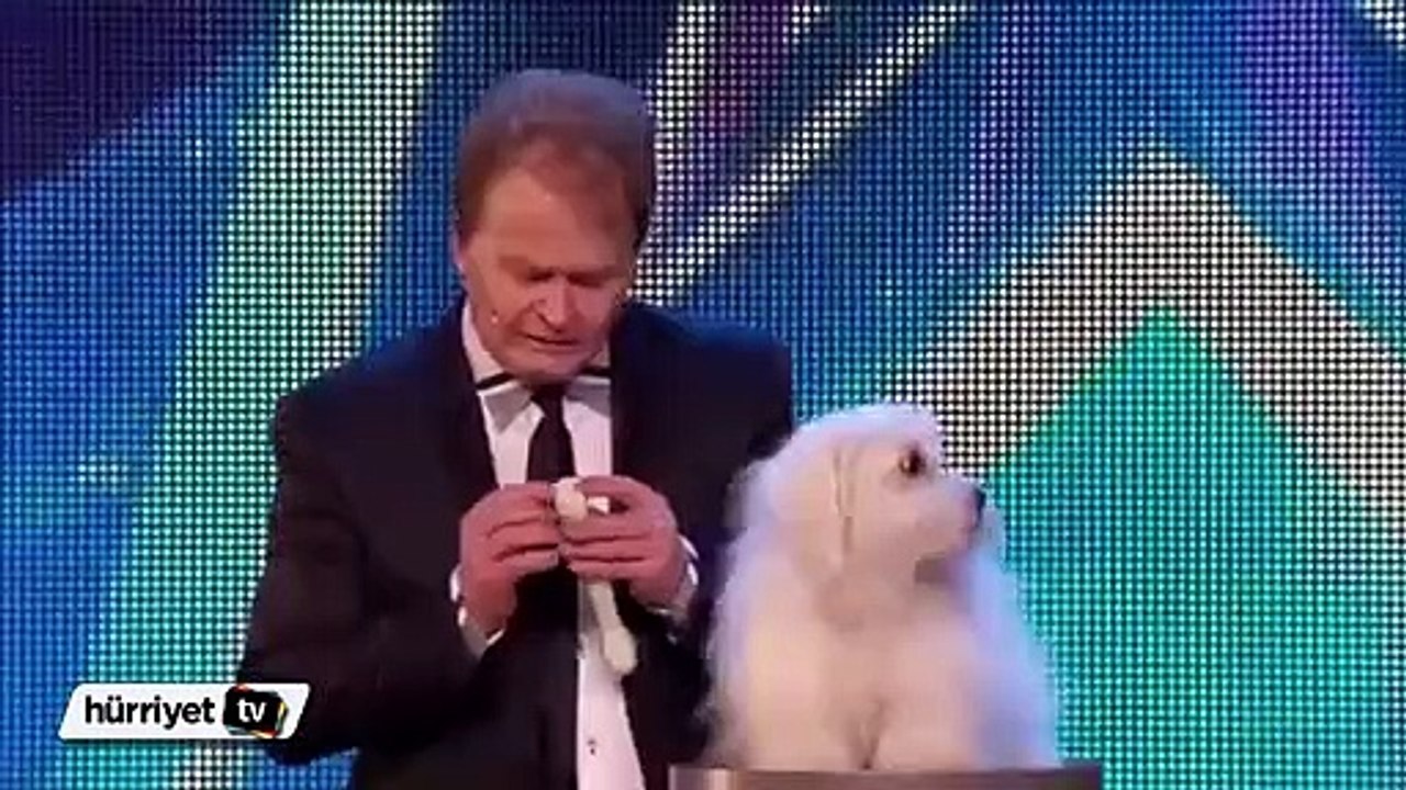 Konuşan köpek herkesi şaşkına çevirdi